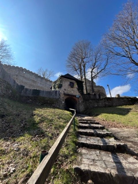 Burg Chojnik
